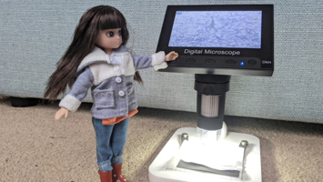 WES Lottie doll tour 2024 set to inspire the next generation of engineers