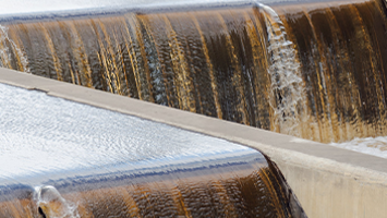 Annual Review 2024 Published